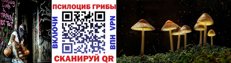 Галлюциногенные грибы ЛСД Теберда