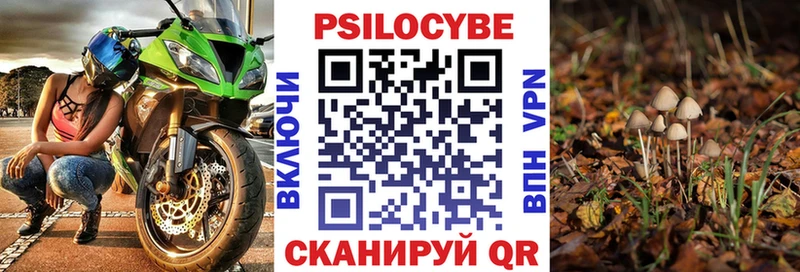 Галлюциногенные грибы Psilocybine cubensis  кракен tor  Теберда 